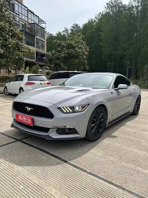 野马后面带gt(野马后面带GT多少钱)