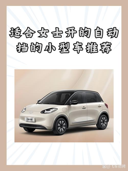 女士小型汽车自动挡／女士小型汽车自动挡什么牌子好
