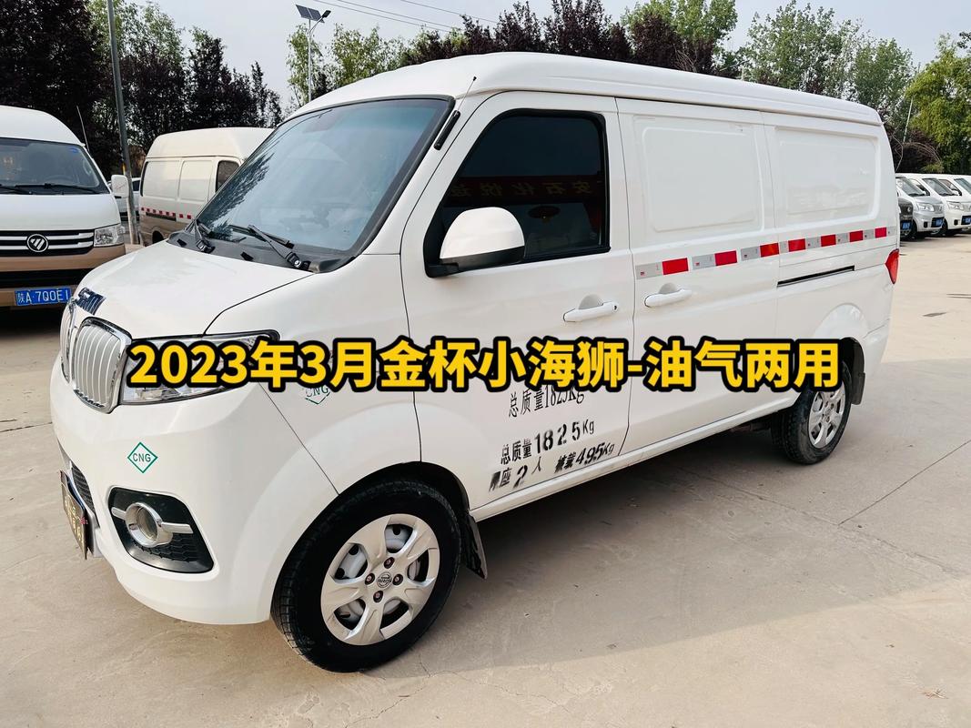 金杯小海狮x30能买吗/金杯小海狮x30l15口碑